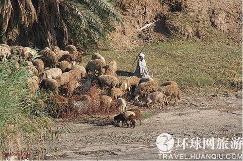 牧羊人