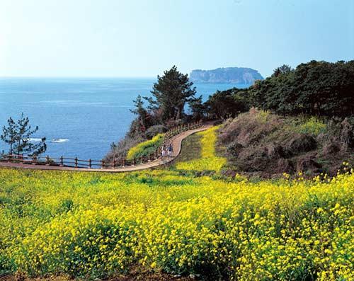 济州岛