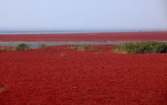 红海滩
