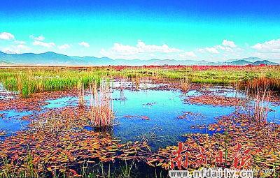 湿地