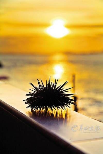 珠海外伶仃岛之夏