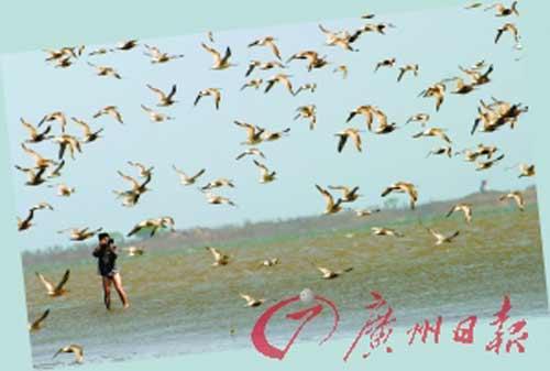 乐亭县菩提岛的湿地。