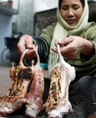 鼠肉是乡下人最主要的蛋白质来源
