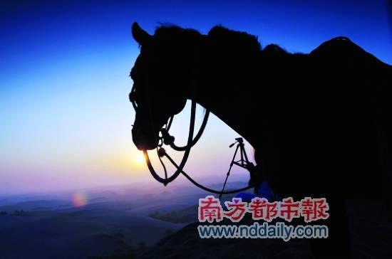 八月，我与草原不见不散 (IC供图)