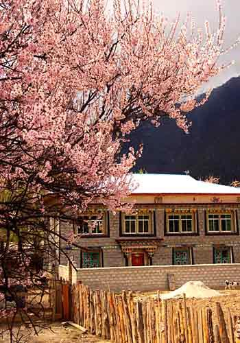 点击图片进入下一页