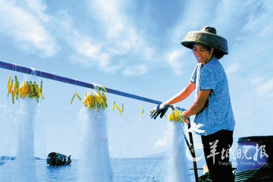 巽寮湾渔家风情