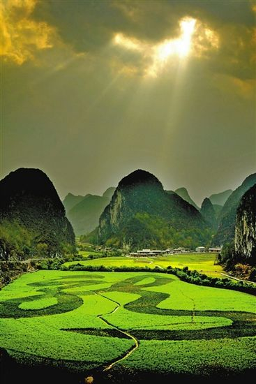 打穿云洞的阳光洒在油菜花田