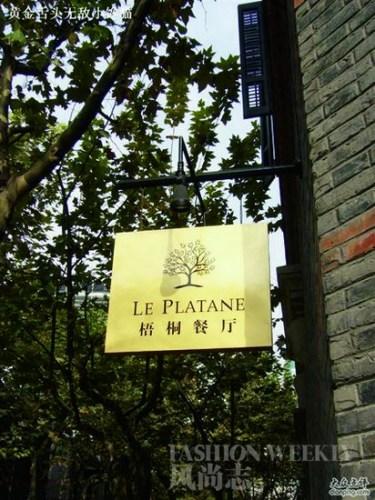 梧桐 LE PLATANE