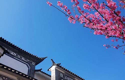 新浪旅游配图：大理