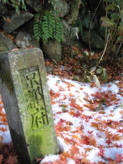 京都之秋