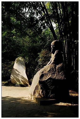 像杜甫致敬