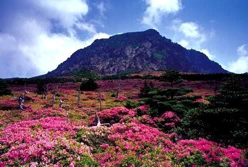 烂漫济州岛