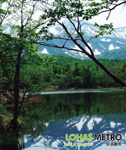 原始森林中的湖泊，湖面上倒映着知床的群山