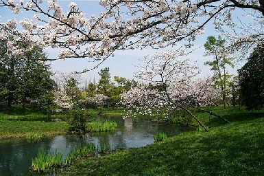 京郊游精彩纷呈
