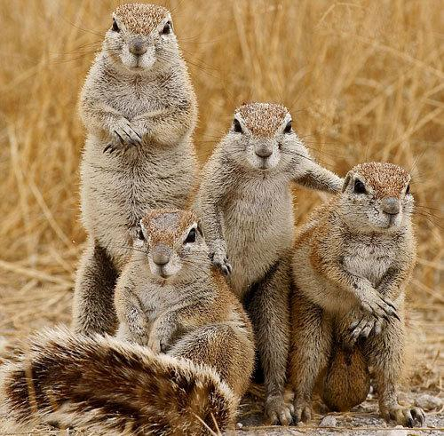 现场还有一帮“看热闹的”