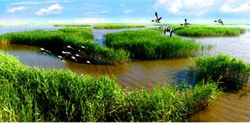 盘锦苇海鼎翔旅游度假区