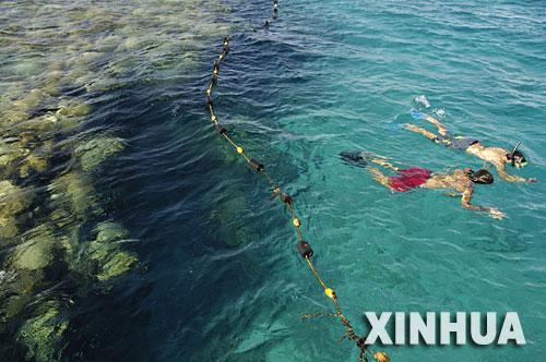 以色列的犹太历新年前夕，游人在埃拉特的红海潜水