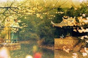 桃花源