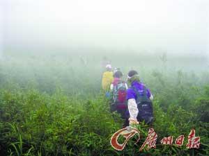 点击图片进入下一页