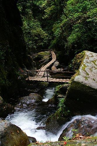 哀牢山深处美景
