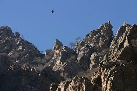 山石嶙峋