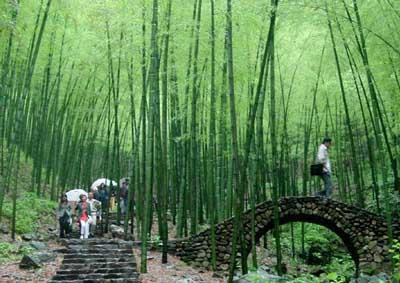 宜兴竹海风景区