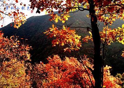 翠枫山