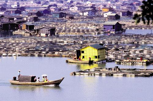 东安海上渔村