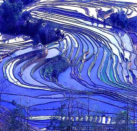 点击图片进入下一页