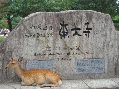 人鹿嬉戏的奈良公园