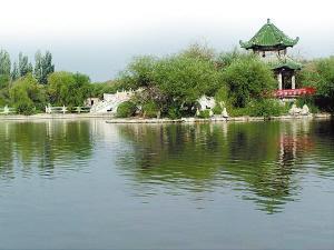 沙漠中的沙湖景区