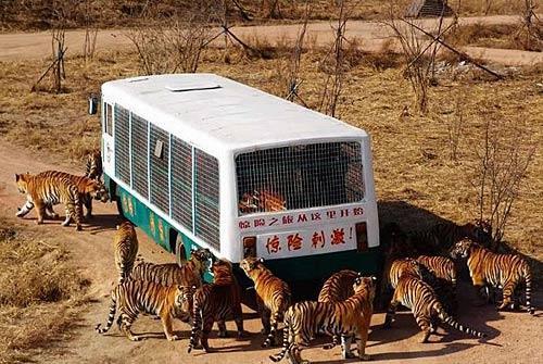 点击图片进入下一页