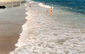 海口市美兰区的海滨地带