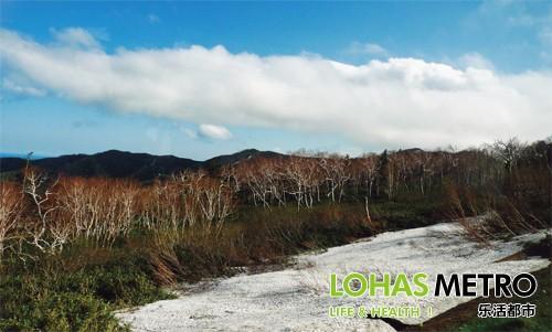 北海道东，山路上经常能看到四季融合的奇观