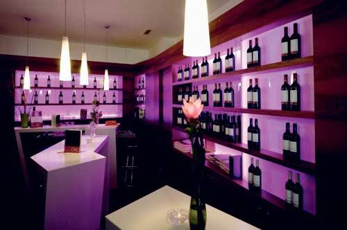 在维也纳的酒庄里只提供以本地葡萄为原料的自制葡萄酒