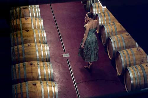 新酒酒馆和葡萄酒，这两个词与维也纳紧紧地联系在一起