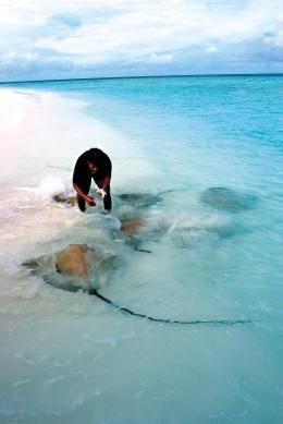 海边捡拾贝壳