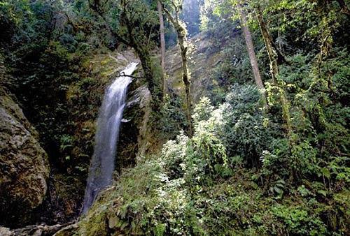 遗世独立的独龙江大峡谷依然拥有着匪夷所思的生物多样性、近乎原始状态的植被覆盖