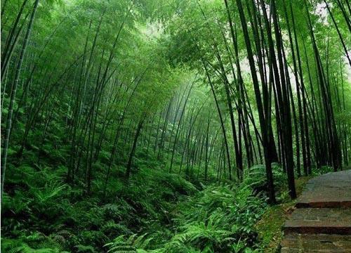 点击图片进入下一页
