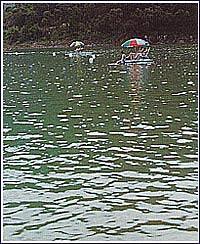 活水游泳池