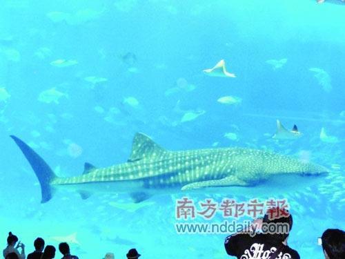 点击图片进入下一页