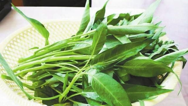 空心菜之王:中国名蔬博白蕹菜,曾在九十年代远销美国_新浪新闻