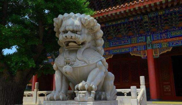中国“饿”的最惨的石狮子,瘦到皮包骨,游客:确定是来镇妖的?