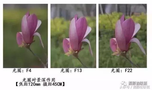 想要背景虚化,用这几招就行