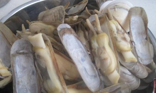 海蛏你还在炒着吃吗?这样做,肉质肥嫩汤又鲜,好吃极了