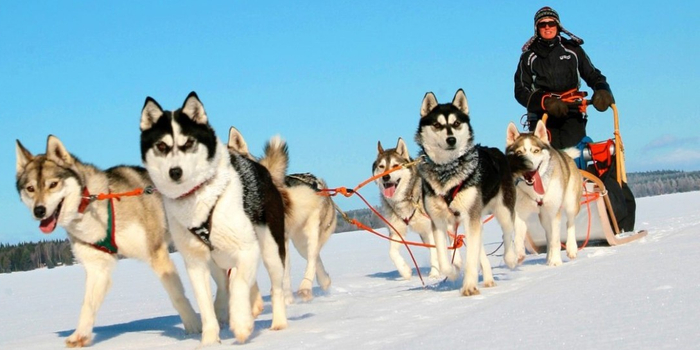 走进人口3000的芬兰冰雪小镇沃卡蒂,如何全季