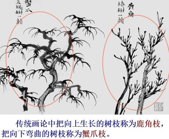 你会画树吗?原来画树也有这么多技巧的|_新浪新闻