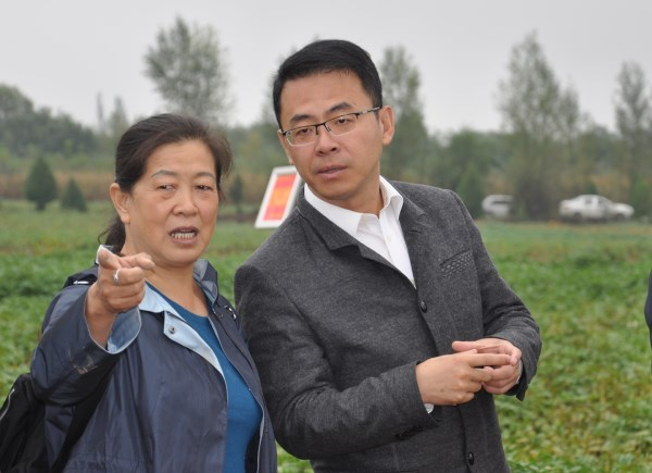 毕业学技术培训要了解什么 应届生如何选择靠谱机构