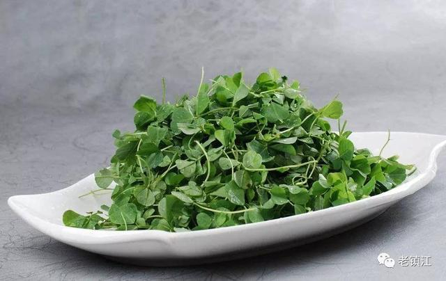 镇江传统美食——秧草,你吃过吗?|鲜美|扬中|苜蓿|长安|河豚_新浪新闻
