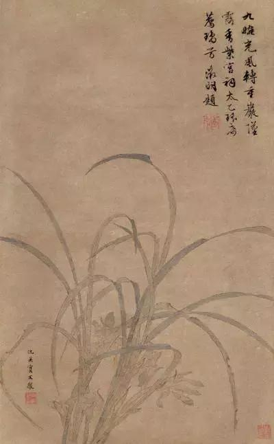 古代画兰花的六位高手,各有千秋,女画家马守真的兰花,清秀典雅